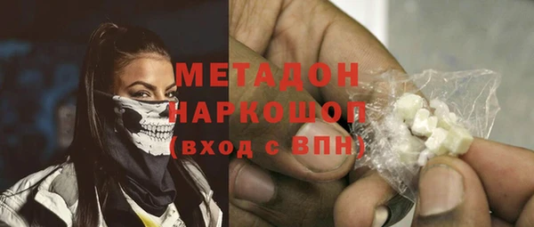индика Горнозаводск