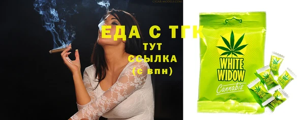 индика Горнозаводск