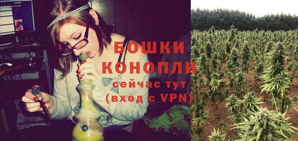 ALPHA-PVP Вяземский