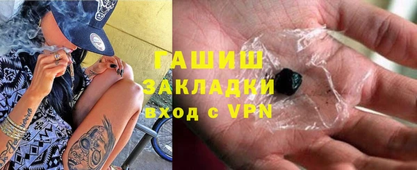 индика Горнозаводск