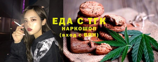 индика Горнозаводск