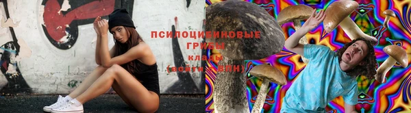 стаф Вязники