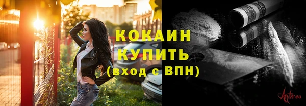 стаф Вязники